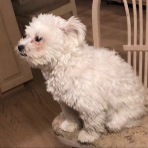 Meet your Posher, Tara